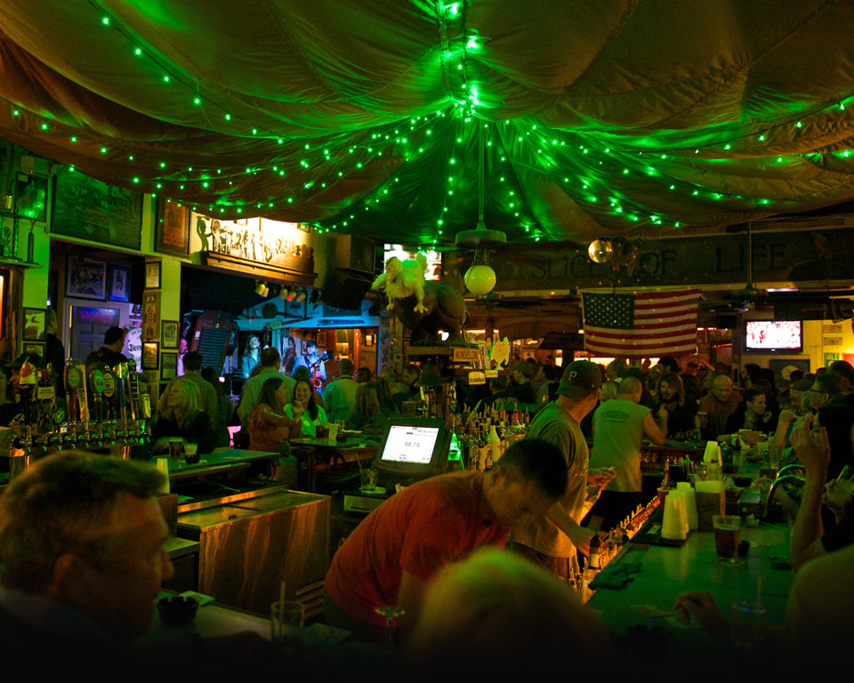 Green Parrot Bar