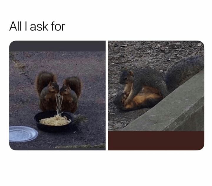 ask-these-questions-to-make-your-boyfriend-laugh